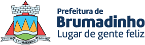 Brumadinho Logo